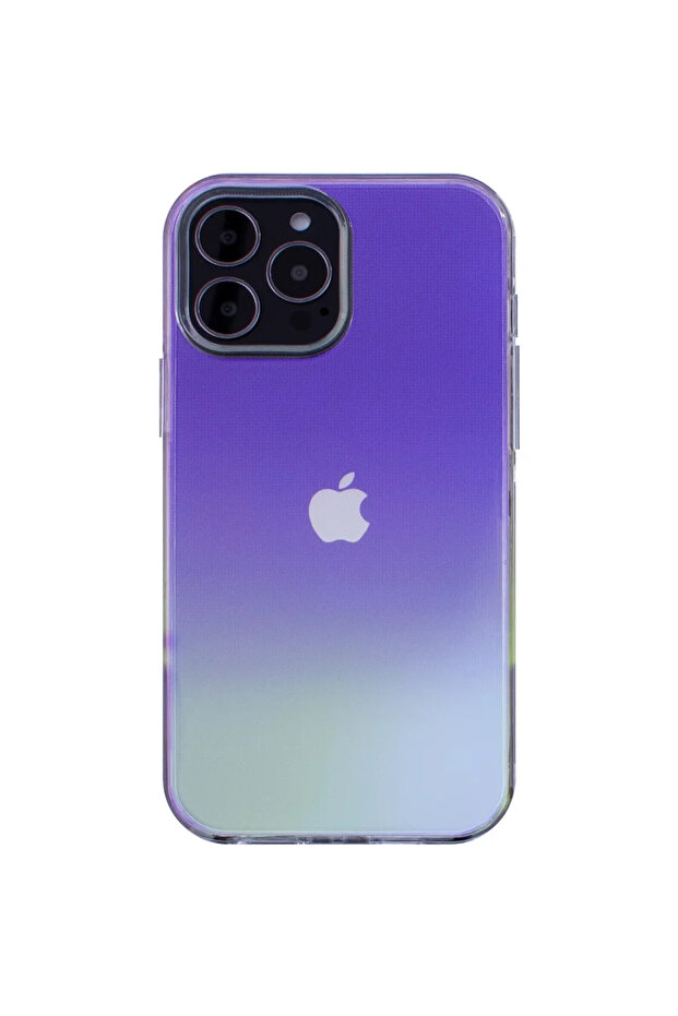 Cazul Aurora - 2