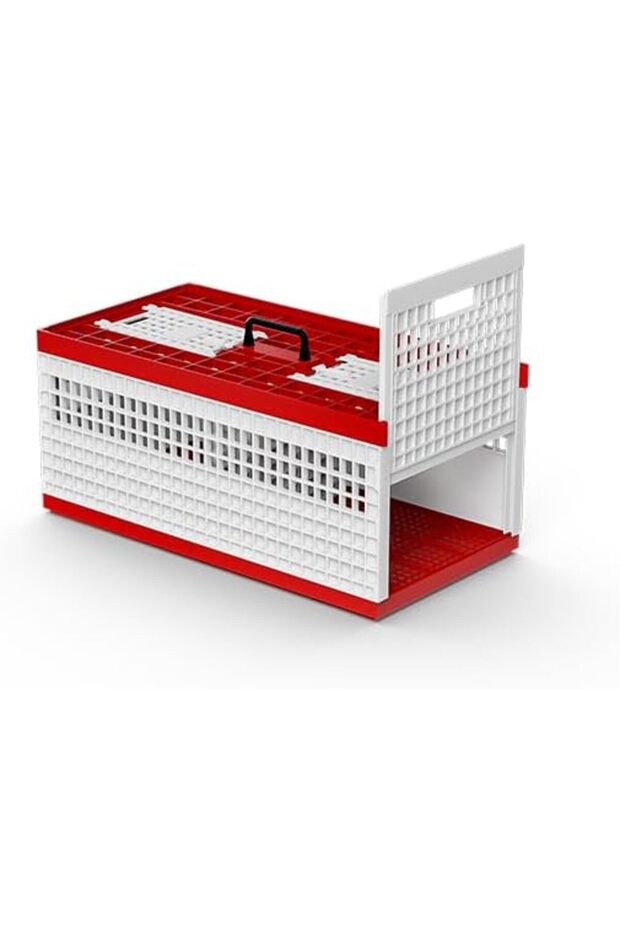 Bird Cage for Pigeon and other Similar Birds 60x30cm (Made in Italy)