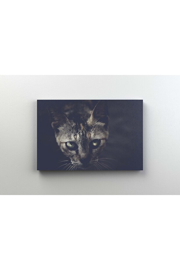Tablou Canvas - Pisicuta - 1