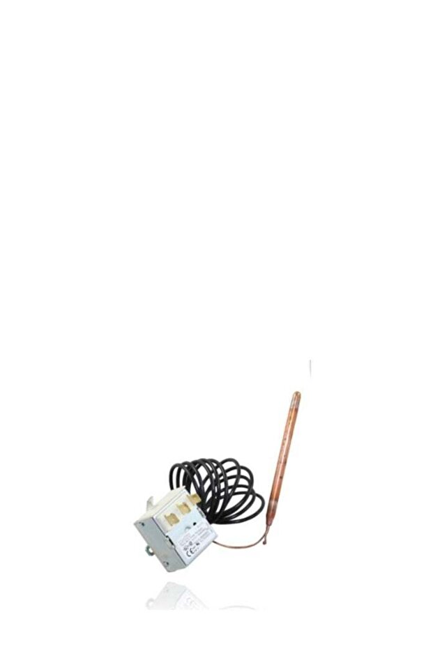 TR2 with adjustable temperature range 0 to 90°C, capillary 2 meter