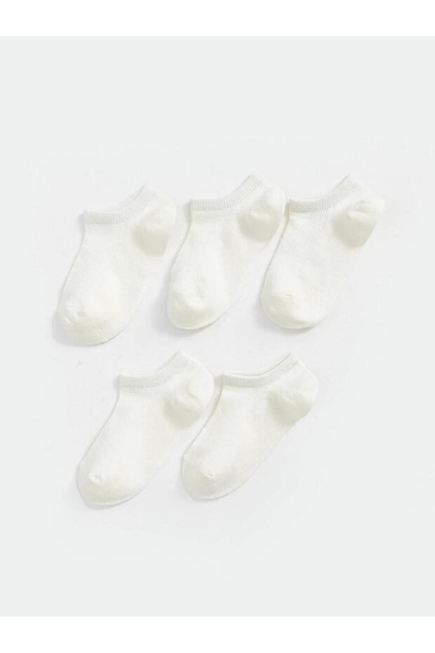Crpd,mumfas5-ck-rpt (S5)