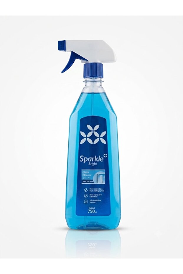 Bright Glass Cleaner -750Ml