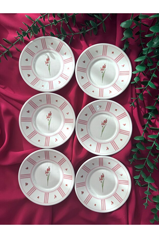 Lavinya Model 6 Piece Modern Tea Plate Set (Fuchsia)