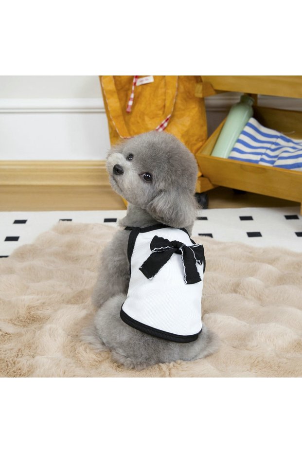 M WHITE Pet Clothing Dog Clothing Spring/Summer New Teddy Dog Pet Clothing Cat Summer Thin Edition