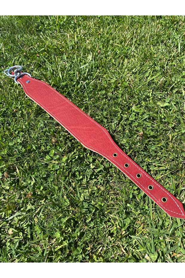 Dog Collar Genuine Leather 60 cm Rottweiler Dogo Golden Pitbull K9 Cane Corso Puppy Kangal