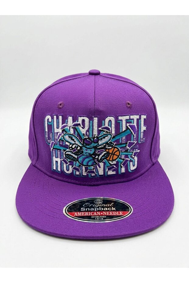 Charlotte Hornets Hip-Hop Hat (Special Edition) Small Size 56.5
