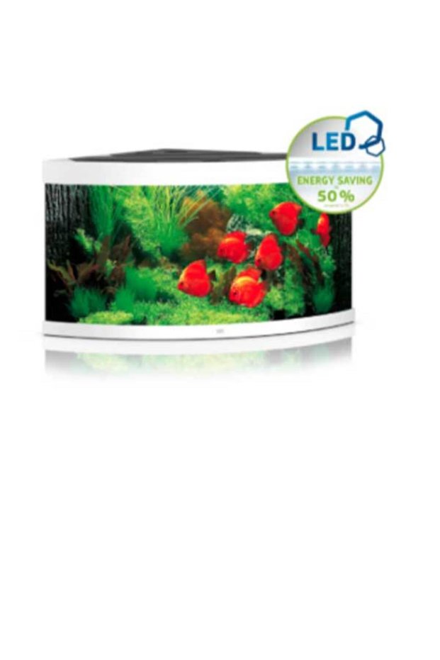 Trigon 350 LED White