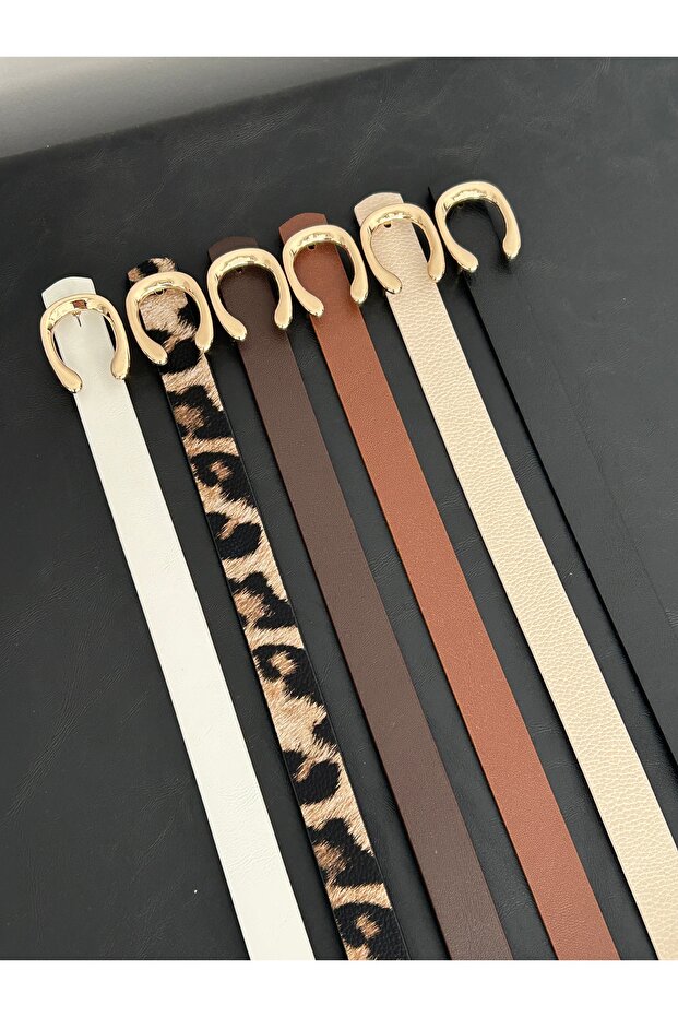 6-Pack Lex C Imported Buckle Model
