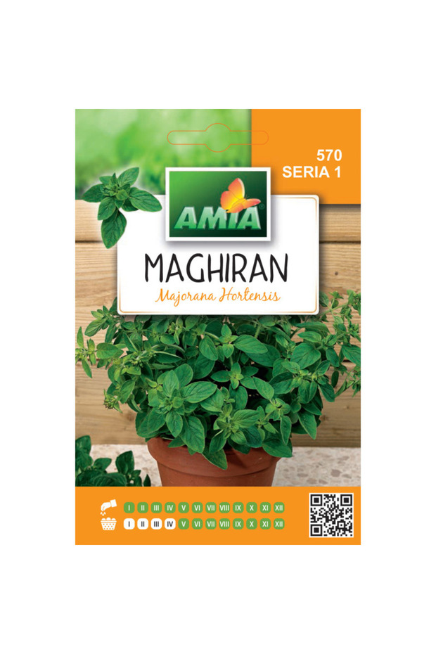 Seminte de Maghiran Amia, 0,7 g - 1
