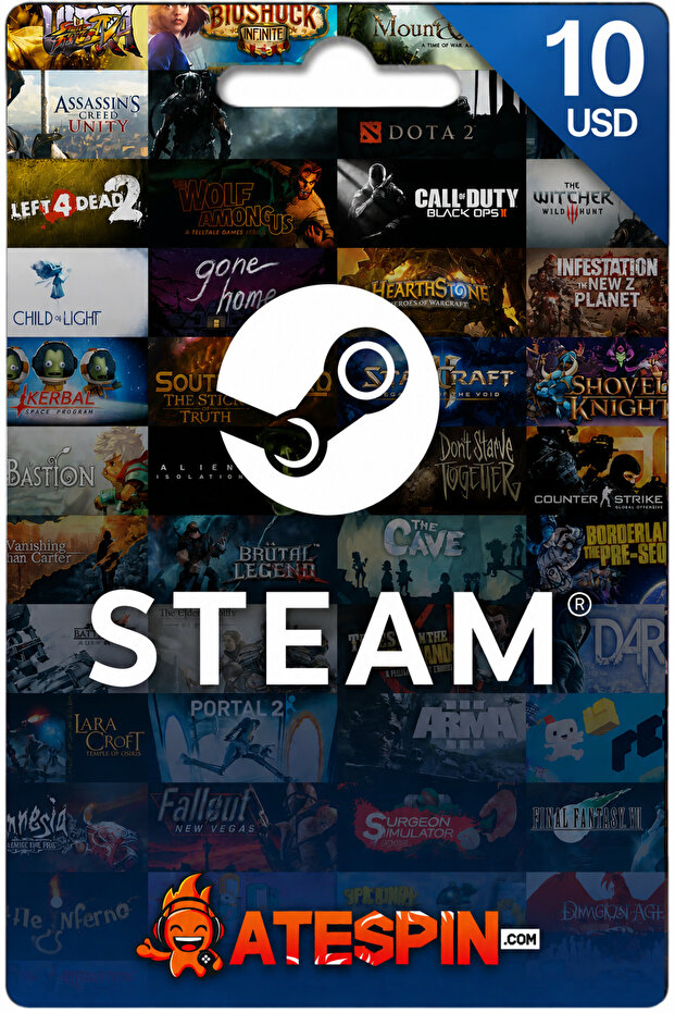 AtesPin Steam 10 USD - Dolar Cüzdan Kodu
