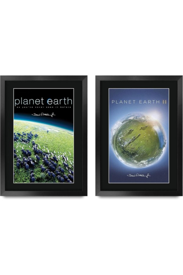 FR A3 Planet Earth Collection x 2 David Attenborough Gifts Printed Signed Autograph Poster for TV Memorabilia Fans - A3 Framed