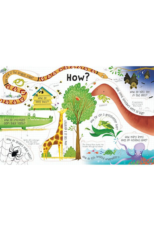 Questions & Answers Animals - 4