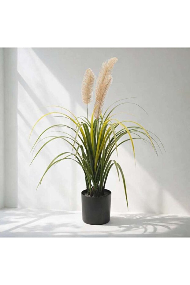 Perennial Potted Onion Grass Bush With Pampas H90cm - Green