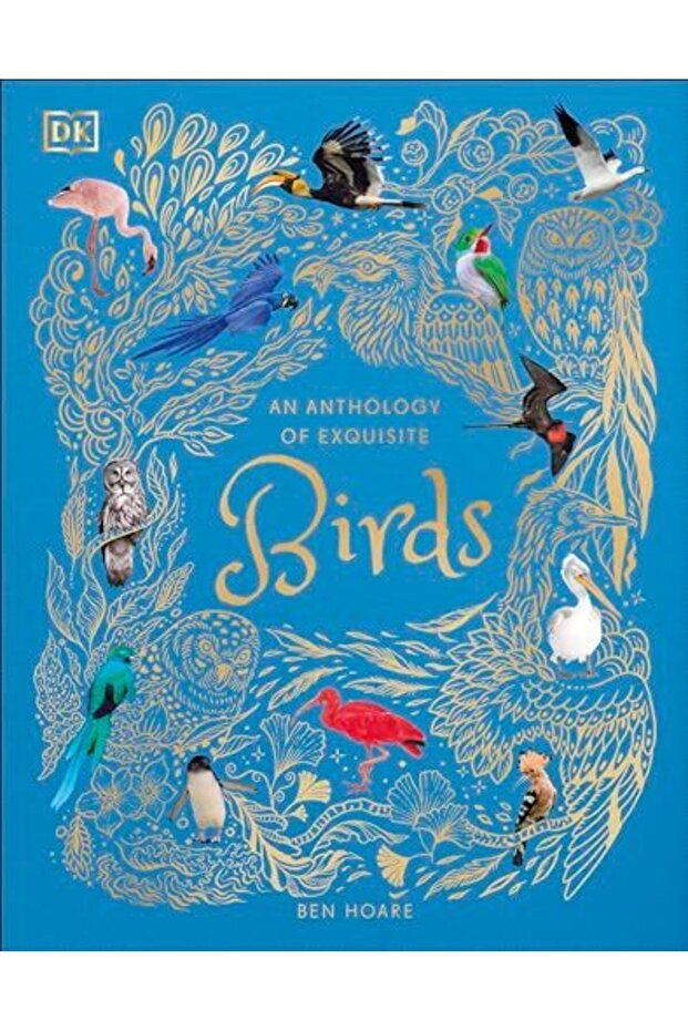 Anthology Of Exquisite Birds