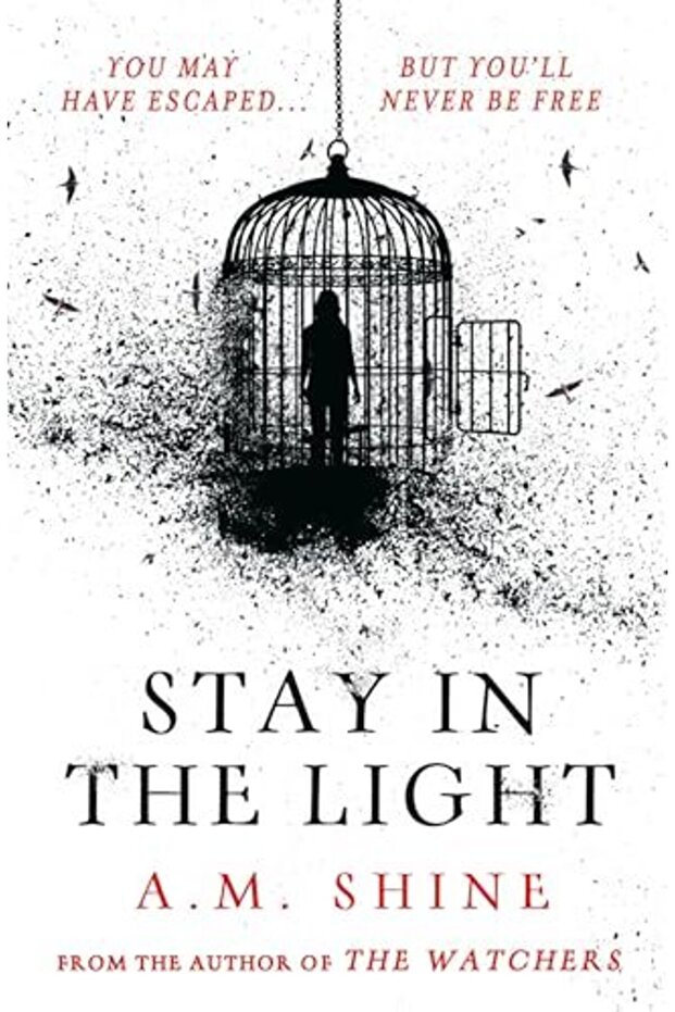 Stay In The Light The Chilling Sequel To Hit Horror Novel The Watchers