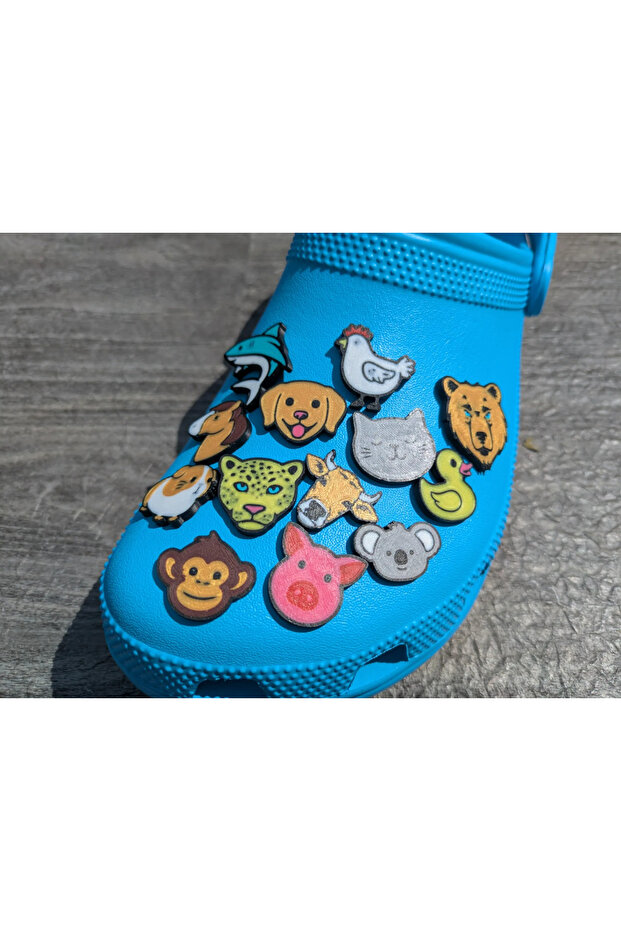 14-Piece Shoe Decoration Set of Decorative Slippers and Sandals Accessories