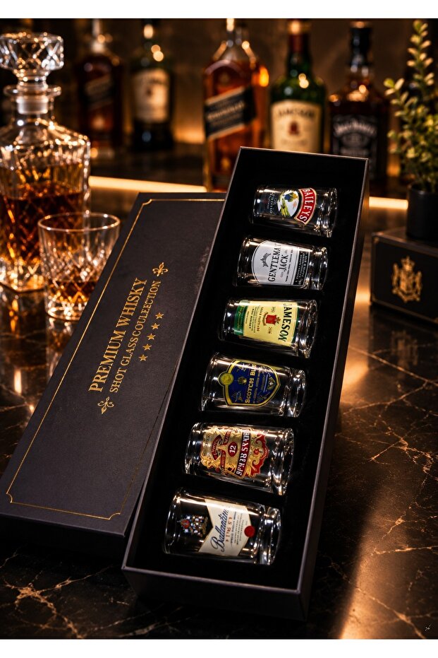 6-Piece Premium Shot Glass Collection