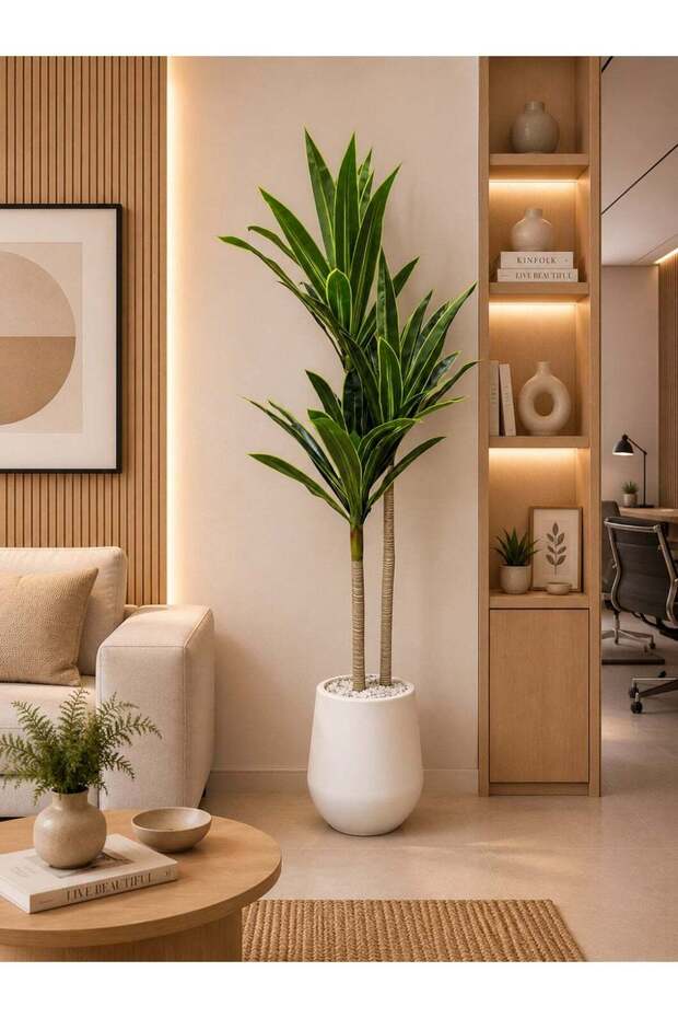 شجرة دراسينا الاصطناعية الفاخرة - ارتفاع 190 سم