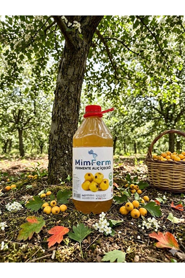 Alıç Fermentesi