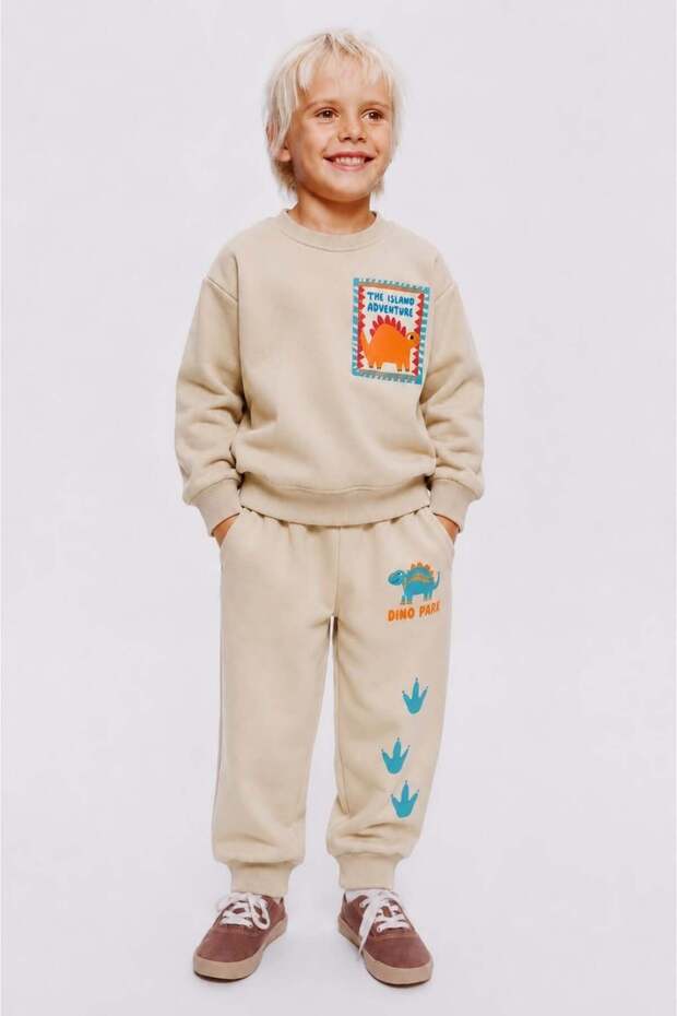 Boy's Dinosaur Printed 3 Thread Fabric Tracksuit Set