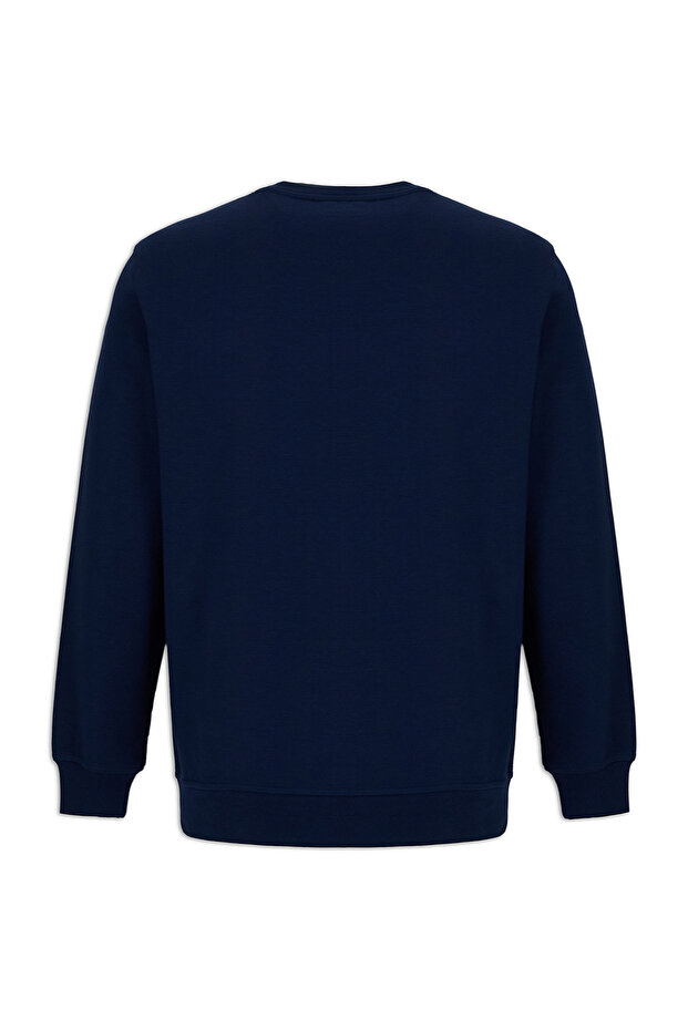 Crew Neck Regular Fit Cotton Basic Sweatshirt - 7