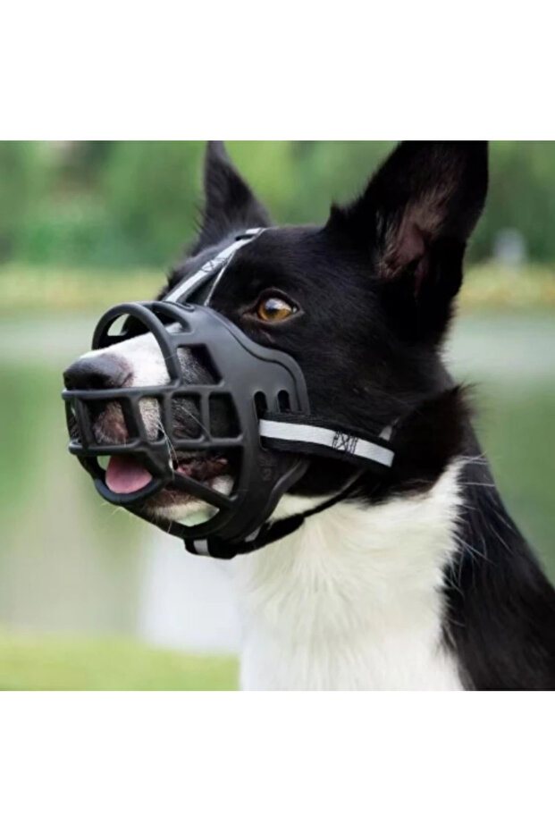 Dog Muzzle Taqtu Adjustable - 5