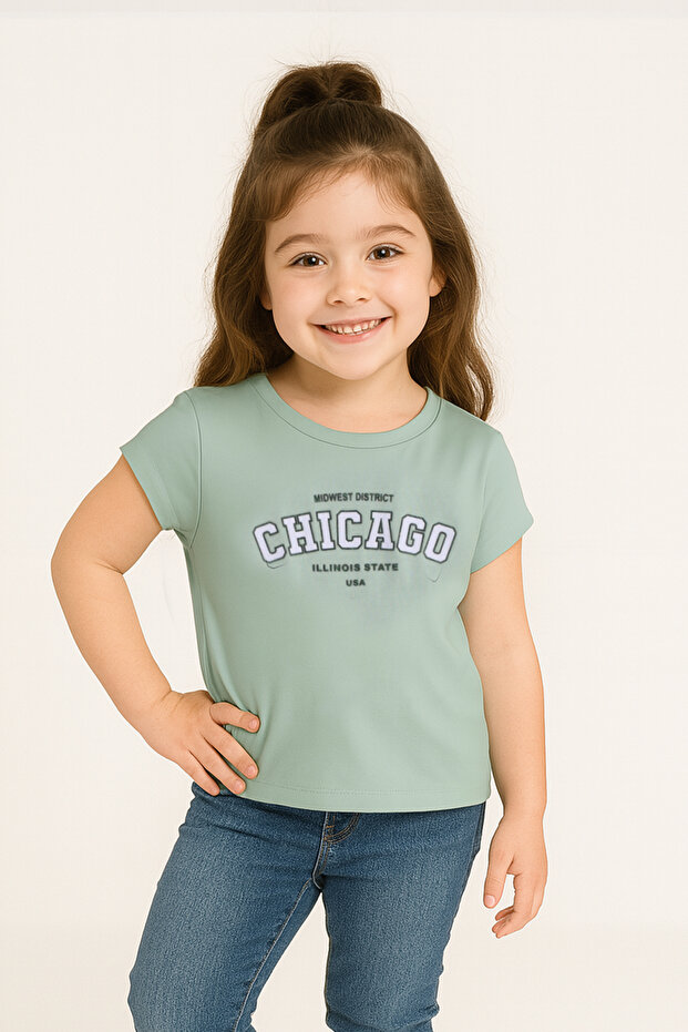 Chicago Illinois State Tee