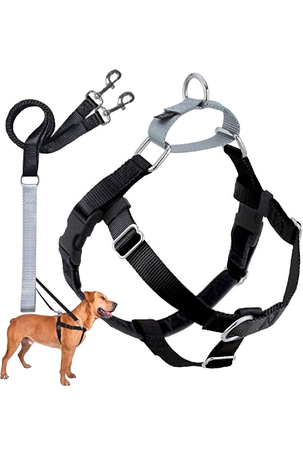 2 Hounds Design - Freedom No-Pull Harness And Leash - Black/Medium 1"