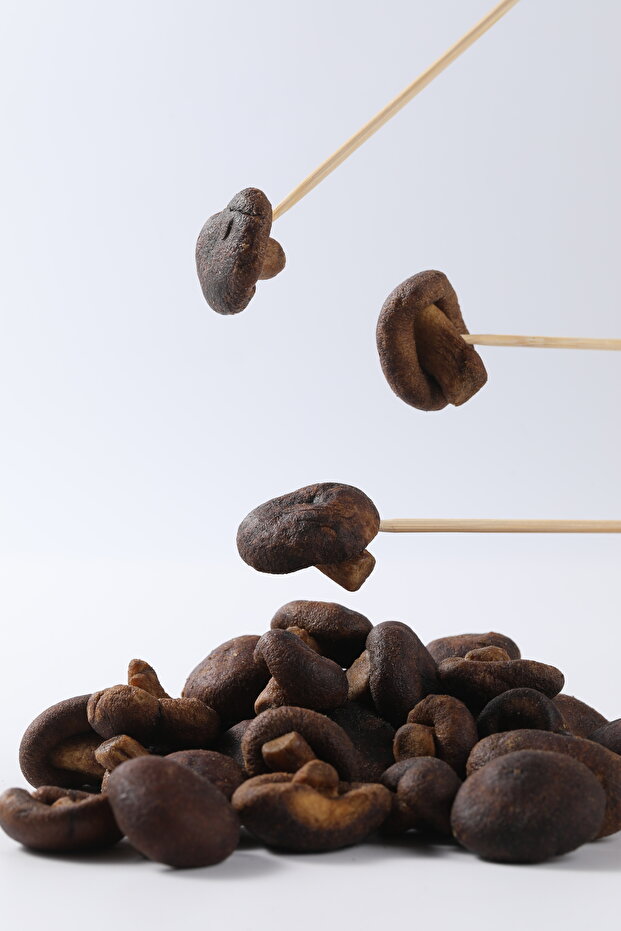Vaccum Fried Mushrooms