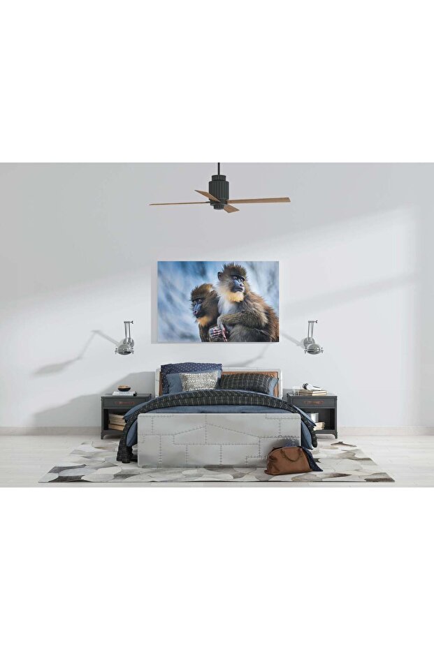 Tablou Canvas - Monkey Magic - 2