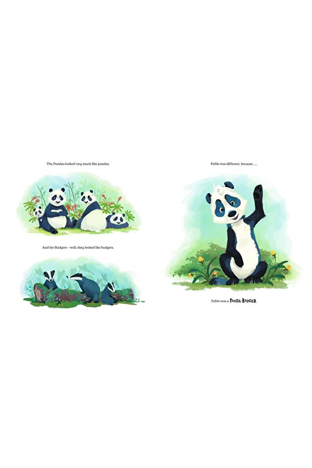Panda-Badger - 2