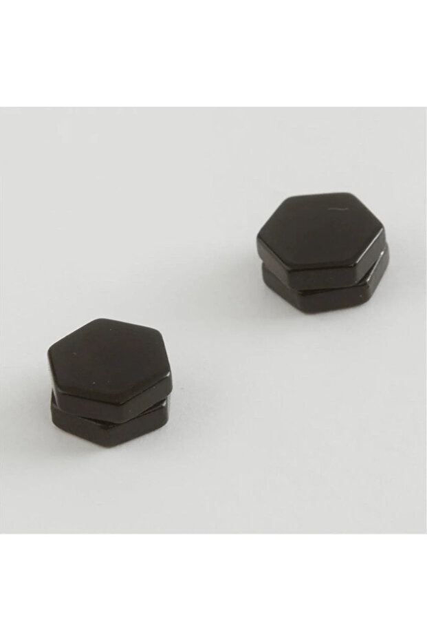 Hexagonal Figured Magnetic Earrings Elk-Bjtieg