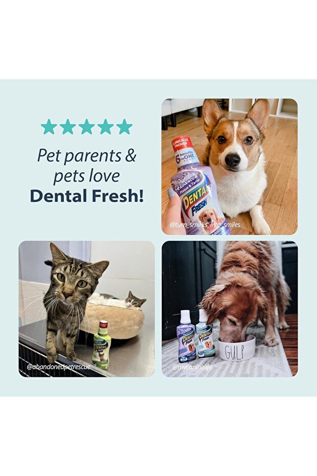 Original Formula for Dogs; 17 fl. oz.