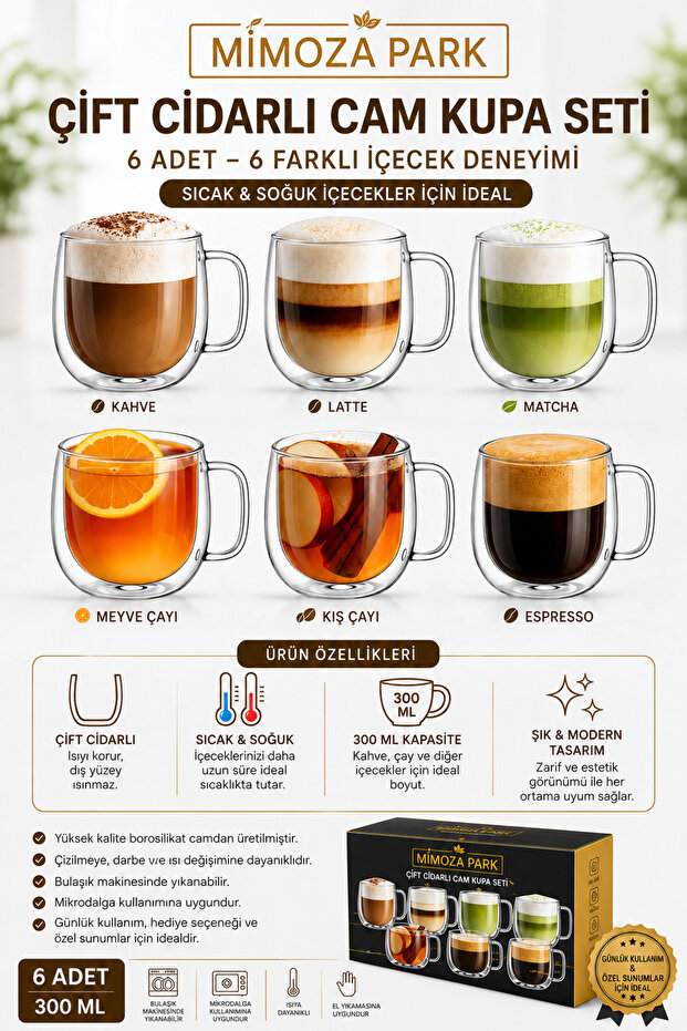 6 Pieces Double-Walled Glass Cup 300 ml Home Office Double-Layer Thermal Insulated Mug with Handle