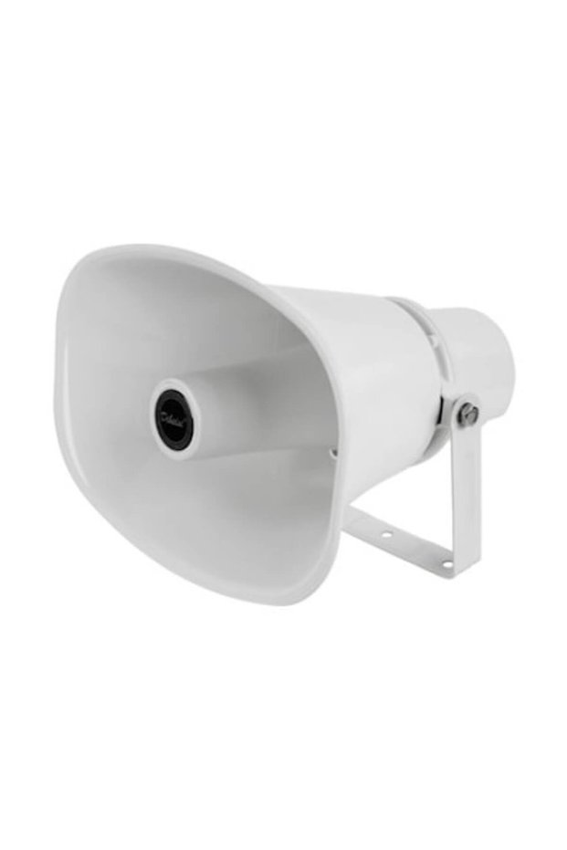 Radio speaker 110V