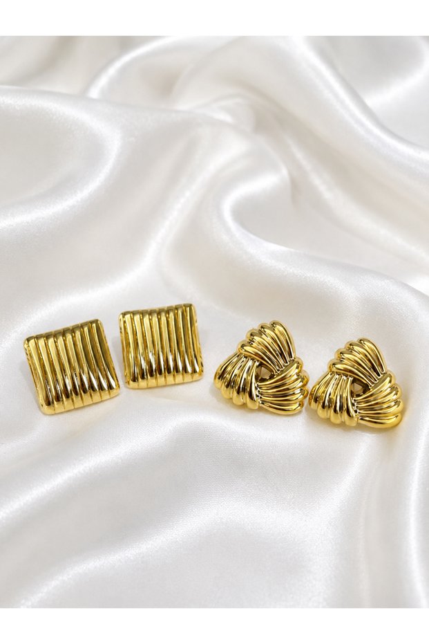 Steel Stainless Steel Set of 2 Earrings