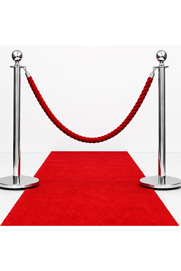 Silver Protocol Barrier with Twisted Red Rope