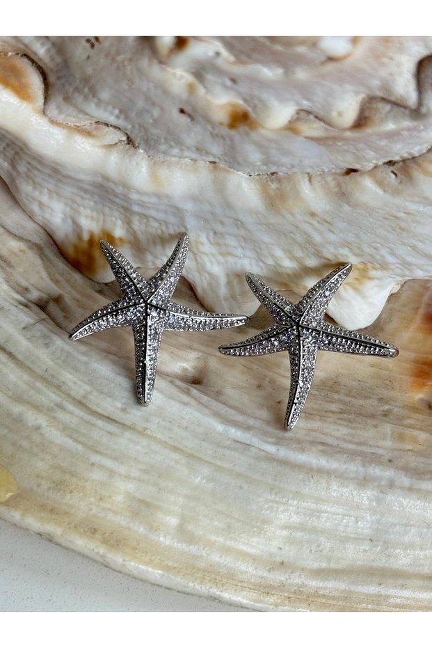 Steel Zircon Stone Starfish Earrings