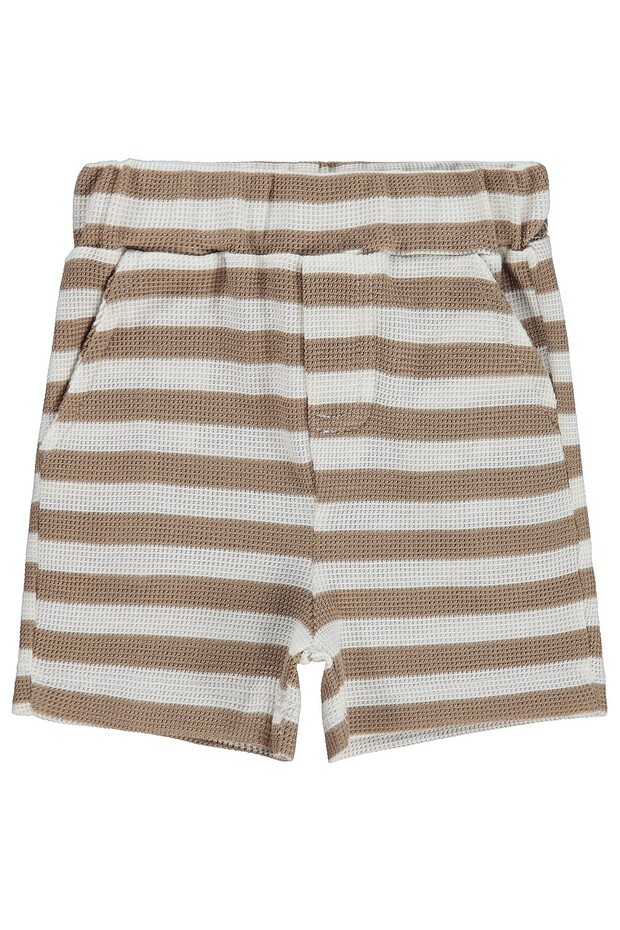 Striped 6-18 Months Shorts - Brown