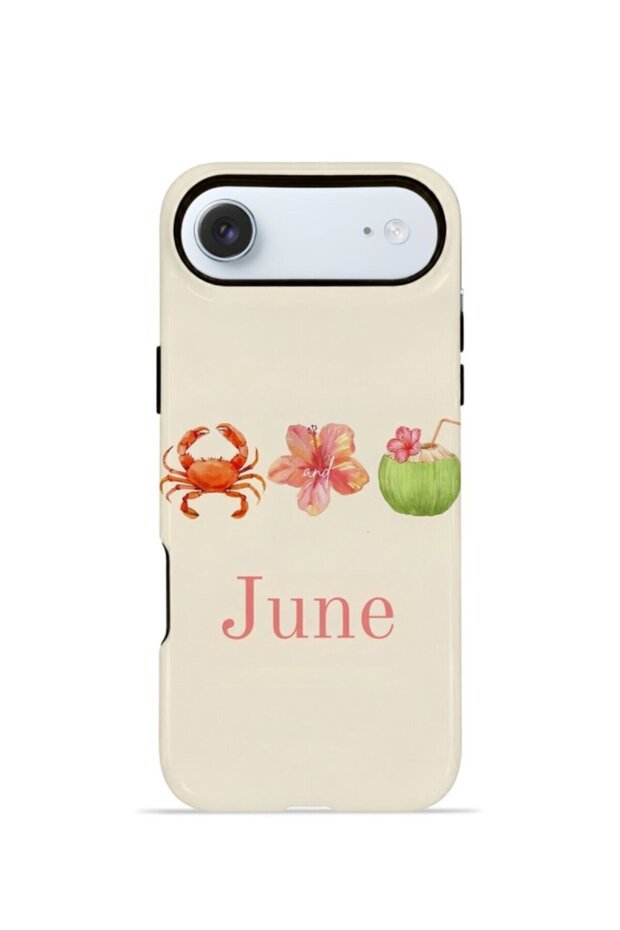 iPhone 17 Air Vorian Double Layer Case June Seaside