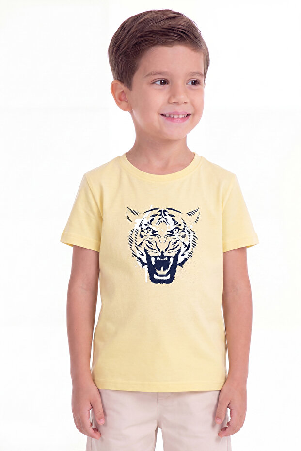 Printed Boy's Short Sleeve T-Shirt B23