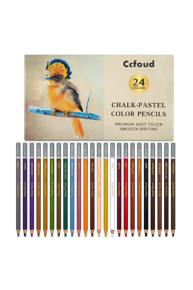 24 B 24 Premium Colored Charcoal Pencils Drawing Set,Quality Pastel Chalk Pencils,Color Charcoal Pen