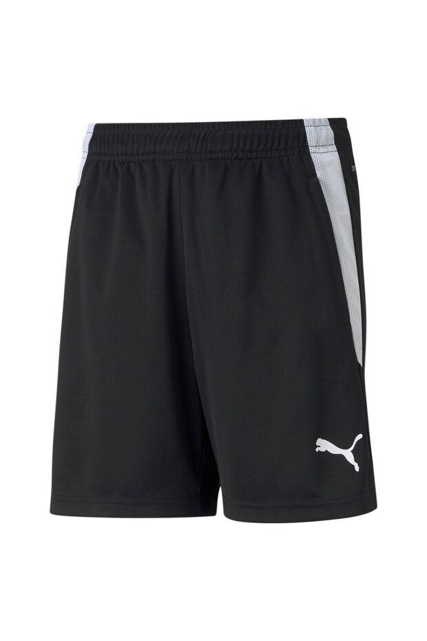 Youth Unisex teamLIGA Football Shorts - Black