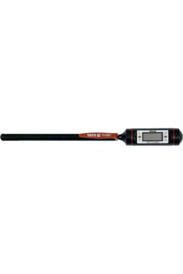 Electronic Thermometer With Probe