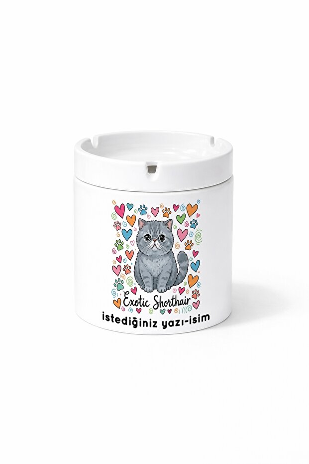 Animal Exotic Shorthair Exotic Short-Haired Cat Printed Ashtray Ashtray Gift