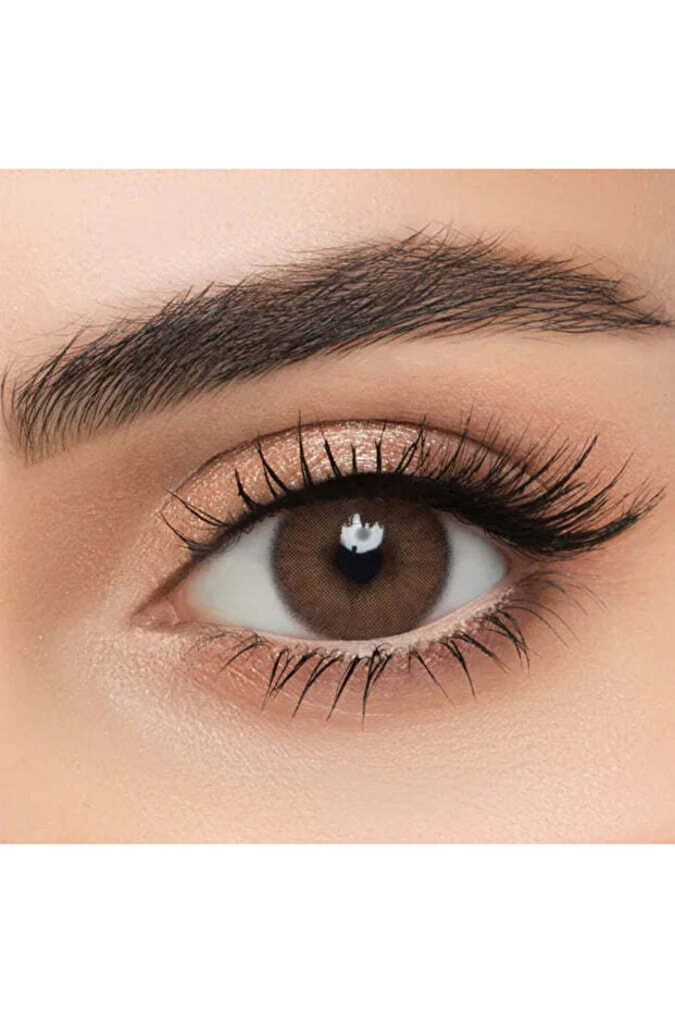 LENS ME DATE