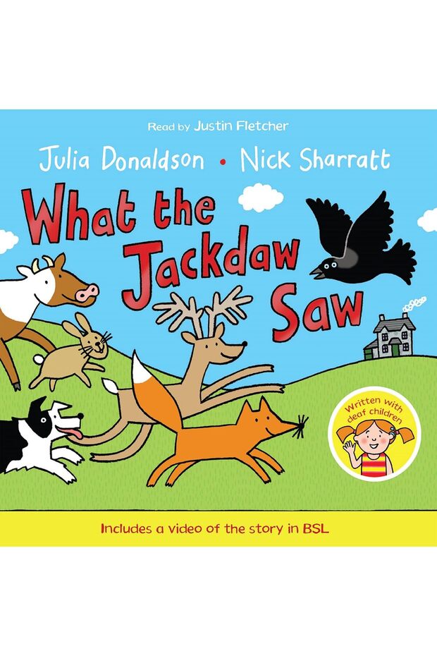 Julia Donaldson What The Jackdaw Saw