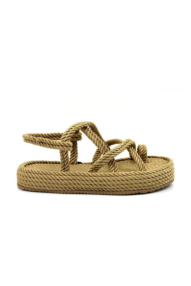6464 Camel