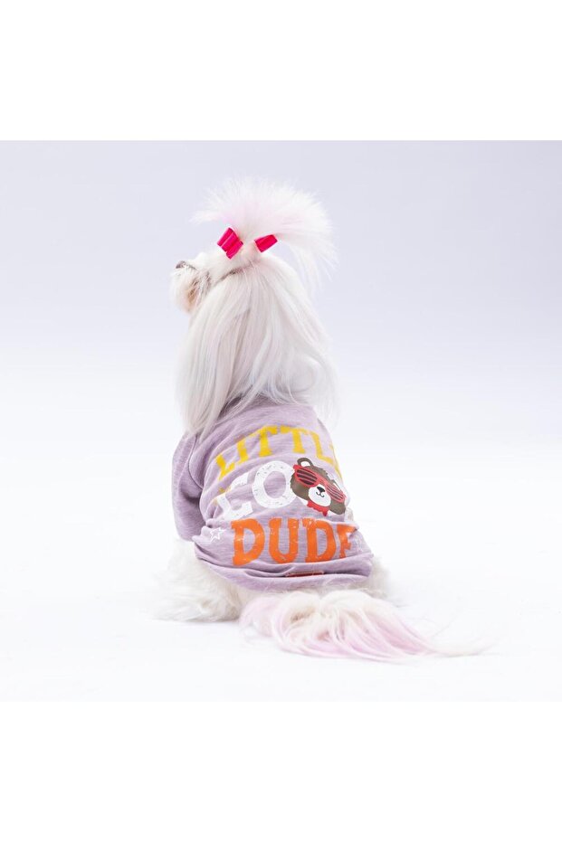 Lila Dude Cat Dog Sweati - بدلة للقطط والكلاب