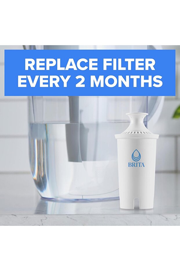Long Last Water Filter, 2ct - 3